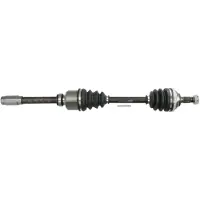 PASCAL Antriebswelle G2P042PC