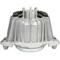 REINHOCH Motorträger RH11-3035 Links