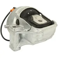 REINHOCH Motorträger RH11-0079 Links