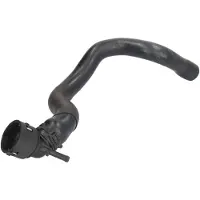 THERMOTEC Kühlerschlauch DWW313TT
