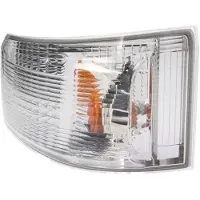Depo Blinkleuchte 214-1570L-UE Links