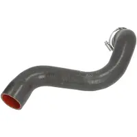 THERMOTEC DCR201TTS Turbo Ladeluftschlauch für RENAULT SCÉNIC II (JM0/1) MEGANE II Coupé-Cabriolet (EM0/1) MEGANE II Kombi (KM0/1) MEGANE II