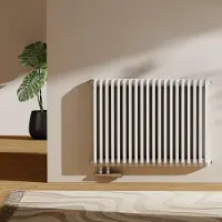Emke Heizkörper, Doppellagig D-Form Flachheizkörper Seitlicher Anschluss 1383W 60x84cm Weiss