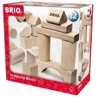 BRIO 50 Building Blocks