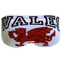 Turbo Wales Dragon Badeslip