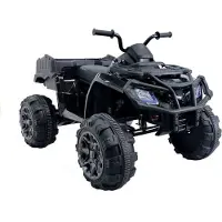 Wisam Elektro Quad BDM 0909 24V 2x45W USB SD MP3 Radio FM | Gr.: onesize
