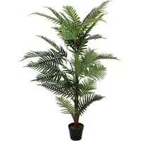 Europalms Areca Palme