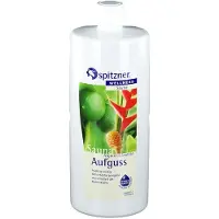 W. Spitzner Arzneimittelfabrik GmbH SAUNAAUFGUSS INGWER-LIMETTE 1000 ml