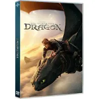 SF Studios How to Train Your Dragon