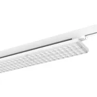 LTS LED-Stromschienenleuchte