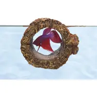Zoo med Floating Betta Log