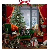 Sonstige Verlage Wand-Adventskalender - Katzen am Fenster