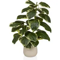Hjh OFFICE Ficus 3