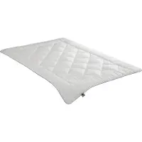 Badenia TRENDLINE 4-Jahreszeiten-Bettdecke Lyocell ca. 135x200cm Decke Steppdecke