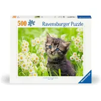 Ravensburger Kätzchen in der Wiese 12000367