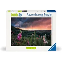 Ravensburger Ein Sturm zieht auf 12000793