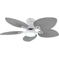 Globo Elise