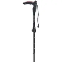Gabel Explorer Wired F.l Xts Stöcke