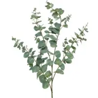 MARELIDA Deko Zweig Eukalyptus in grün - H: 118cm | Gr.: onesize