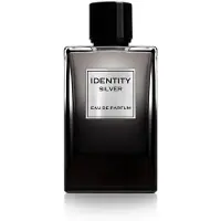 Ga-De IIdentity Silver pour Homme EdP 100 ml