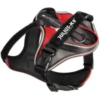 JULIUS K-9 Idc Longwalk Hundegeschirr