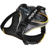 JULIUS K-9 Idc Longwalk Hundegeschirr