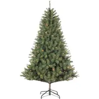 Black Box Künstliche Weihnachtsbaum Norwood - 119x119x185 cm - PVC/Hartnadel - Grün