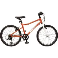 Bachtenkirch-Interbike Bachtenkirch Kinderfahrrad Fizz 20 Zoll 7-Gang Freilauf orange