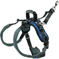 Petsafe Carelift Rear Support Harness - Blau - L