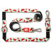 Max&Molly Multi-Function Hundeleine - Watermelon - M