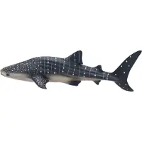 MOJO Whale Shark, 3 Jahr(e), SEALIFE, Grau, Weiß, Polyvinylchlorid (PVC)