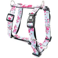Max & Molly H-Geschirr Cherry Bloom - M: 53-69 cm Brustumfang