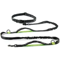 Record Jogging-Hundeleine ausziehbare aus Nylon mit elastischer Anti-Dehnungs-Ve