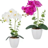 Creativ Green Kunstorchidee "Orchidee Phalaenopsis" mit Eukalyptuszweigen