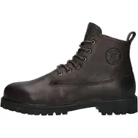 Blackstone Rock Hardy