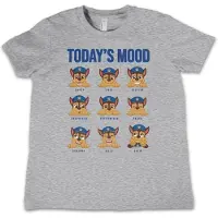 Paw Patrol Shirt "Today's Mood Kids Tee" in Grau | Gr.: 4