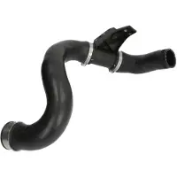THERMOTEC Ladeluftschlauch DCY005TT