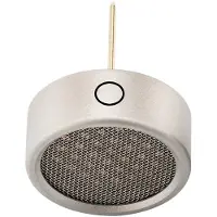 Warm Audio WA84-Omni Capsule-Nickel