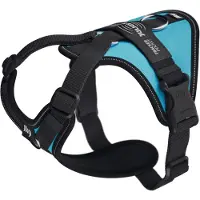 JULIUS K-9 Longwalk Light Hundegeschirr
