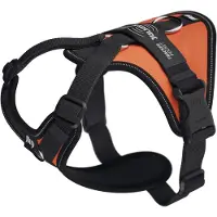 JULIUS K-9 Longwalk Light Hundegeschirr