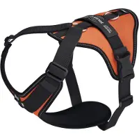 JULIUS K-9 Longwalk Light Hundegeschirr