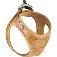 Curli PN3117, Hund, Westengeschirr, XS, Braun, Leder, Einfarbig