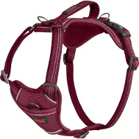 Company of animals Anatomy Harness - Magenta - XL