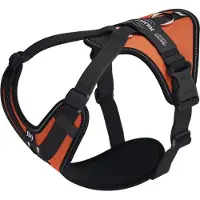 JULIUS K-9 Longwalk Light Hundegeschirr