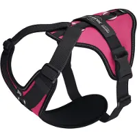 JULIUS K-9 Longwalk Light Hundegeschirr