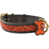Kampuni Hundehalsbånd Kabaka neon mini, 38x1,9 cm