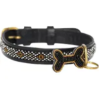 Kampuni Hundehalsbånd Skinny Gold large, 61x2,1 cm