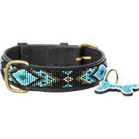 Kampuni Hundehalsbånd Terese turkis large, 61x3,8 cm