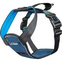 Company of animals CarSafe Crash Tested - Dog Harness - Blue - L