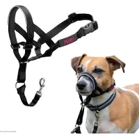 Halti Headcollar - Black - Größe 1